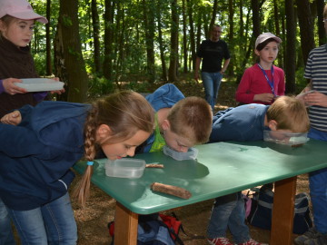 Grundschule Scheeßel - Waldjugendspiele